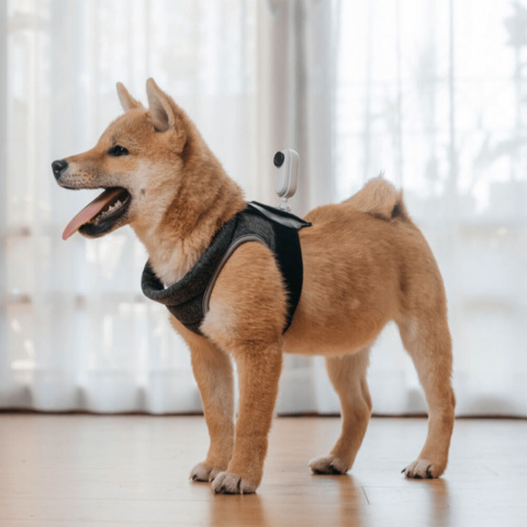 Insta360 GO 2 Pet Strap Mount - Mocowanie dla zwierząt